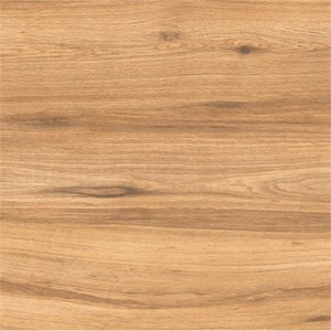 AGL CERAMIC ALEGRE WALNUT FLOOR TILES | RS.270 Per/Box | SIZE : 600 X 600 mm