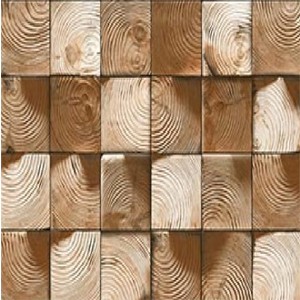 CERAMIC MOSAIC  DIGITAL WALL TILES | RS.131 SQ/FT | SIZE : 300 X 450