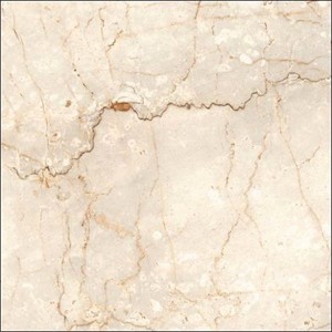 ALBASTRO  HONEY FP SOMANY TILES | RS.65 Sq/Ft