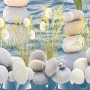 GLOSSY CERAMIC DIGITAL WALL TILES | RS.130 SQ/FT | SIZE : 300 X 450