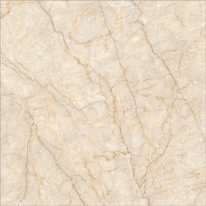 BEIGE BELLOW BROWN VITA TILES | RS. 45 Sq./Ft | 600x600 mm